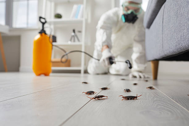 Commercial Kitchen Cockroach Control in Newton Falls